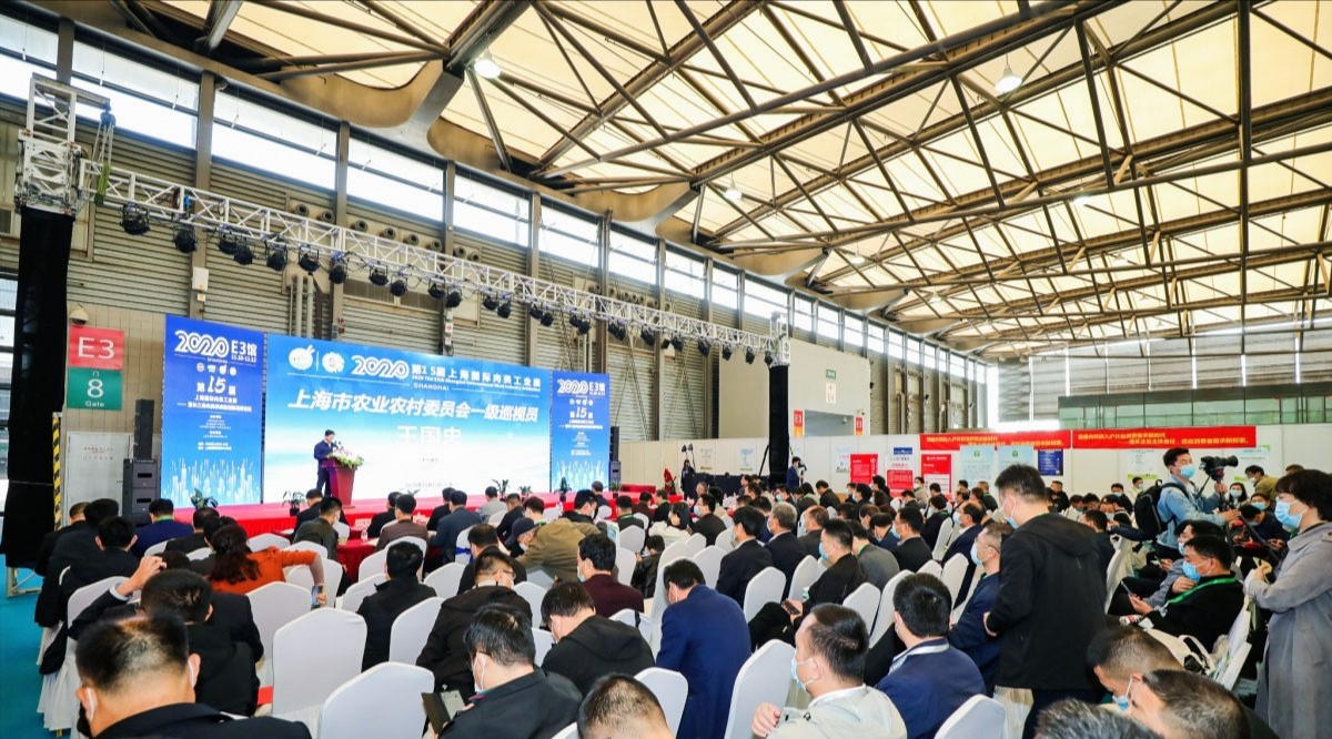 聚鑫汇娱乐官方网站图片