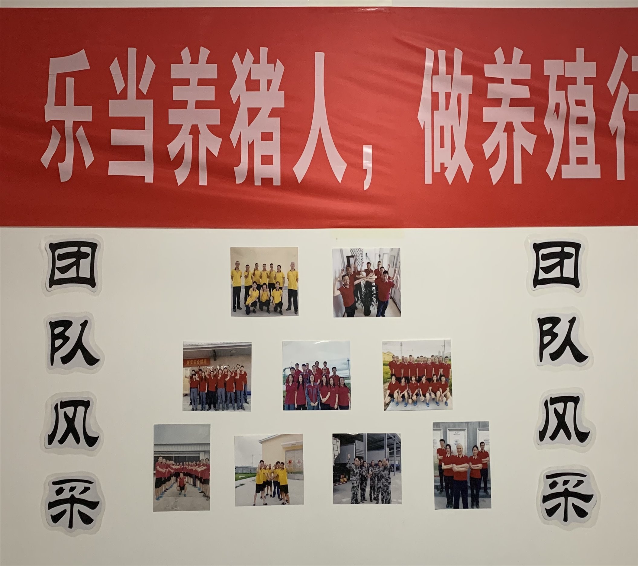 聚鑫汇娱乐官方网站图片