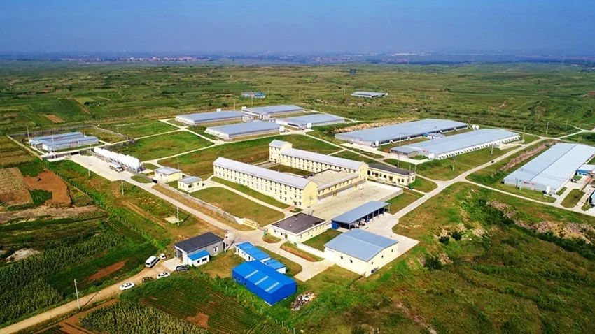 聚鑫汇娱乐官方网站图片