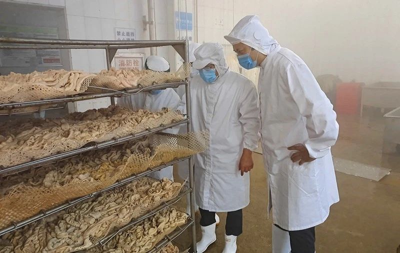 聚鑫汇娱乐官方网站图片