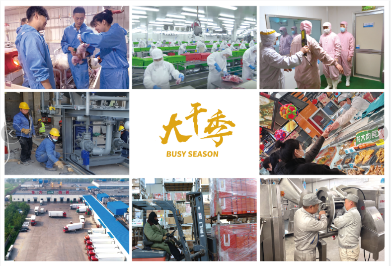 聚鑫汇娱乐官方网站图片