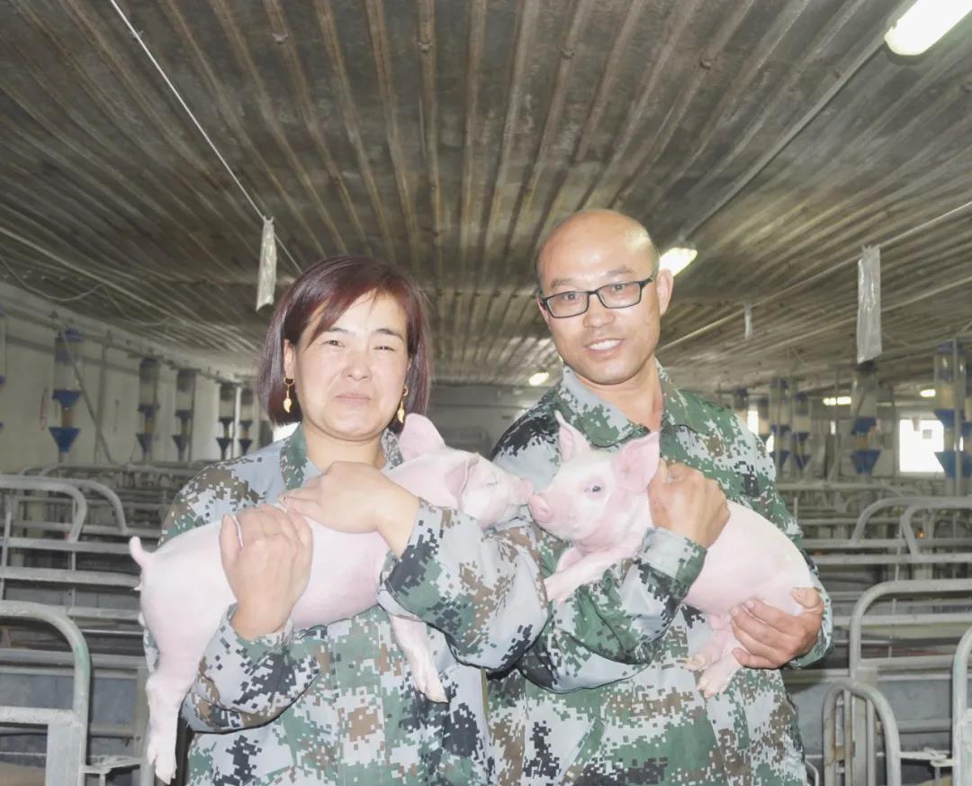 聚鑫汇娱乐官方网站图片